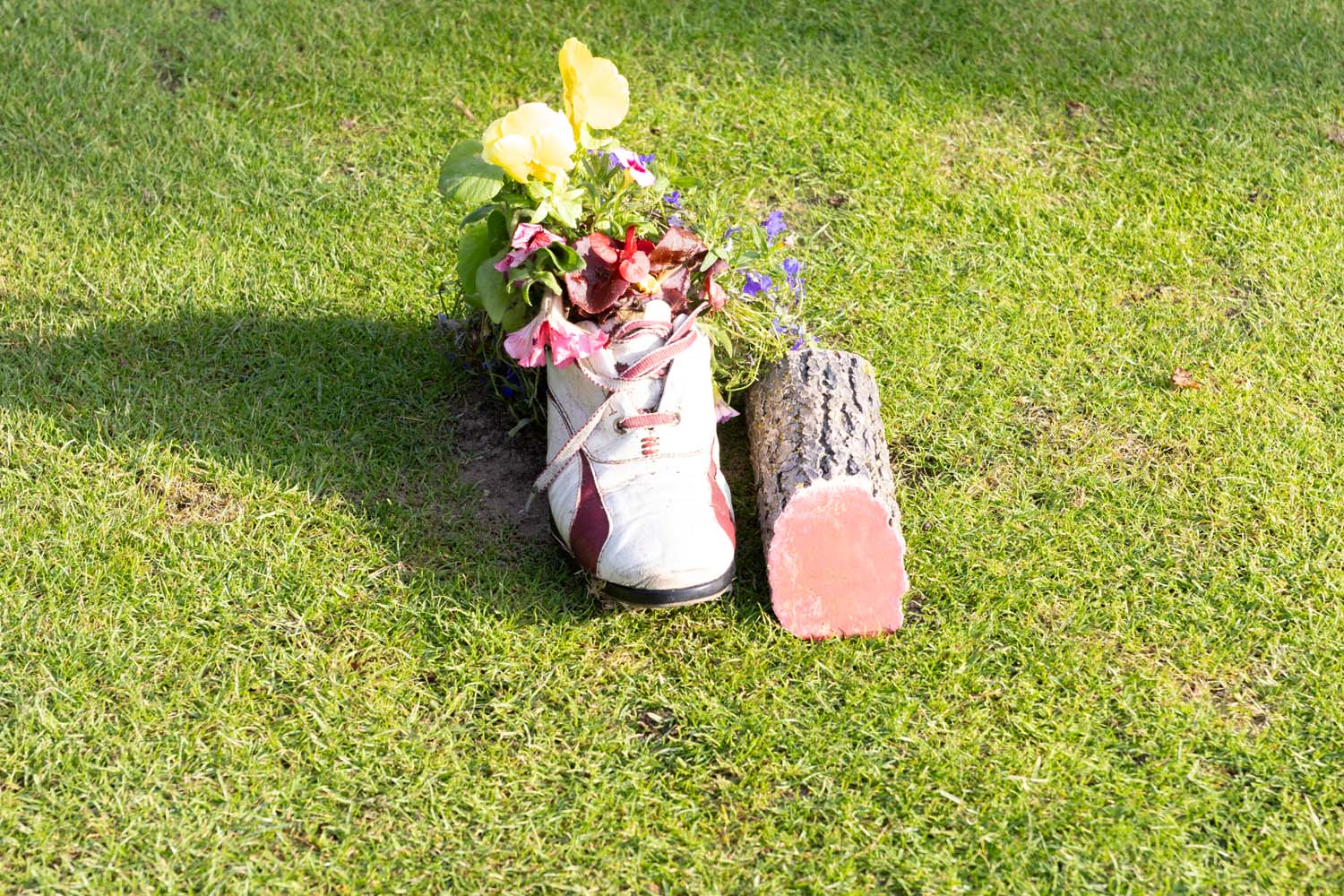 John_Byrne_MGC0011EOS_R7