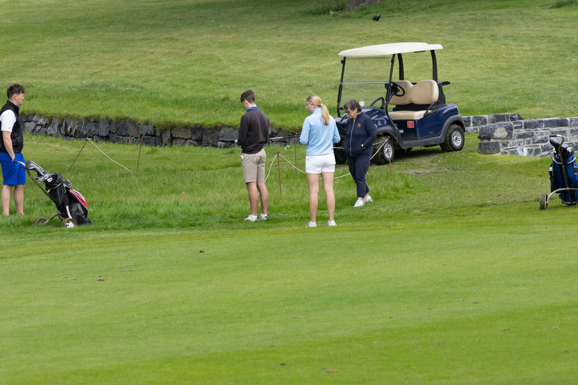 IMG_0441