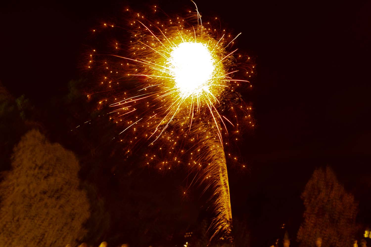 John_Byrne_MGC0160EOS_R7