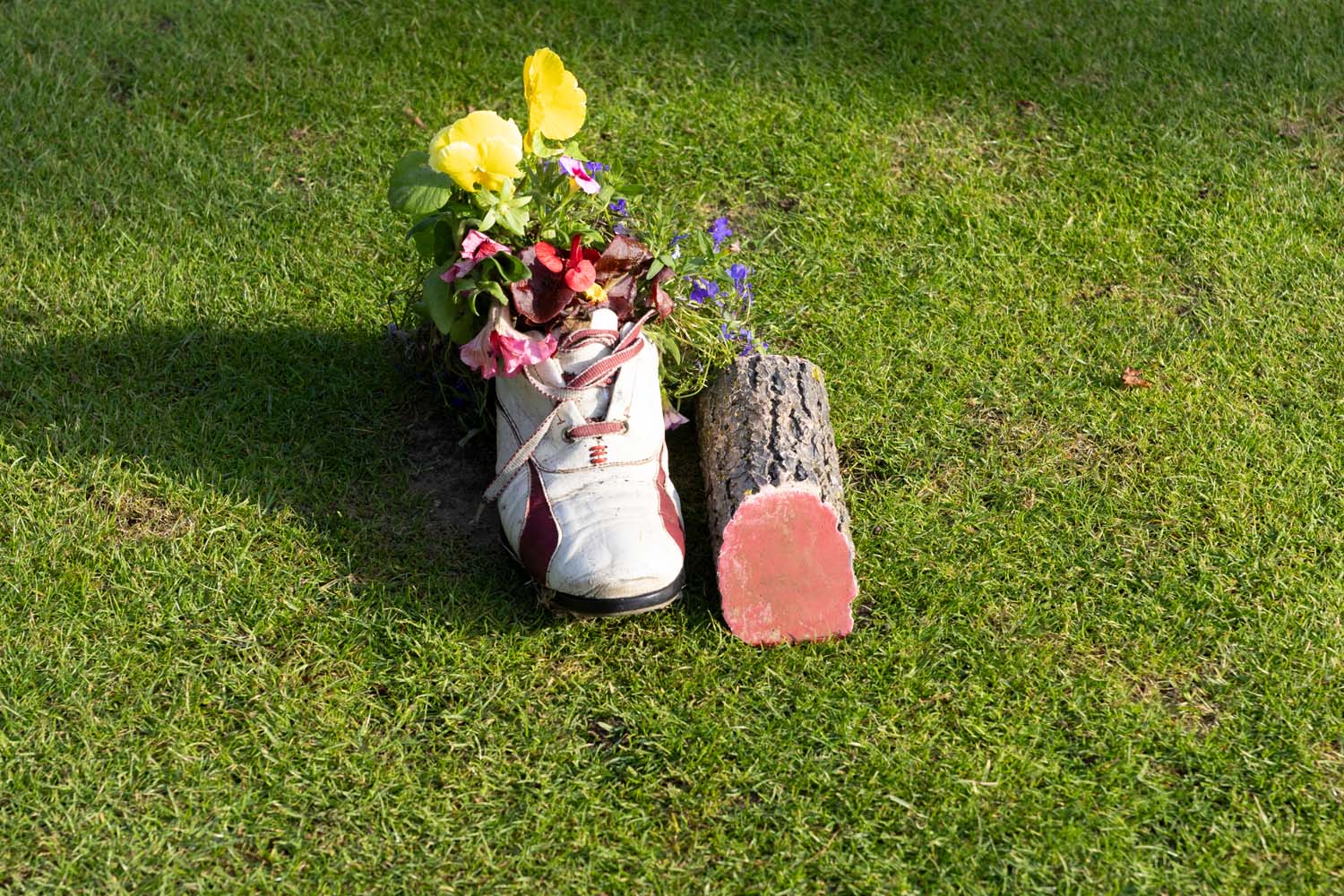 John_Byrne_MGC0012EOS_R7